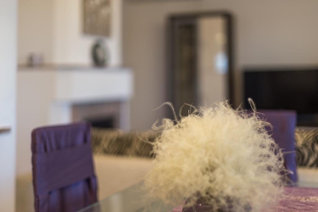 Apartman Jovic *